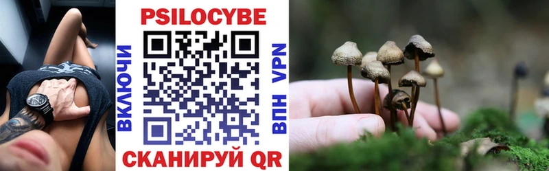 купить  сайты  Кудымкар  Галлюциногенные грибы GOLDEN TEACHER 